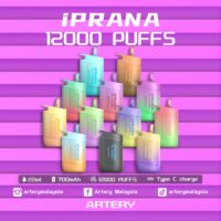 Artery Iprana 12,000 Puffs