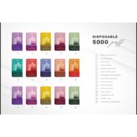 Kizz Bar 5000 Puffs